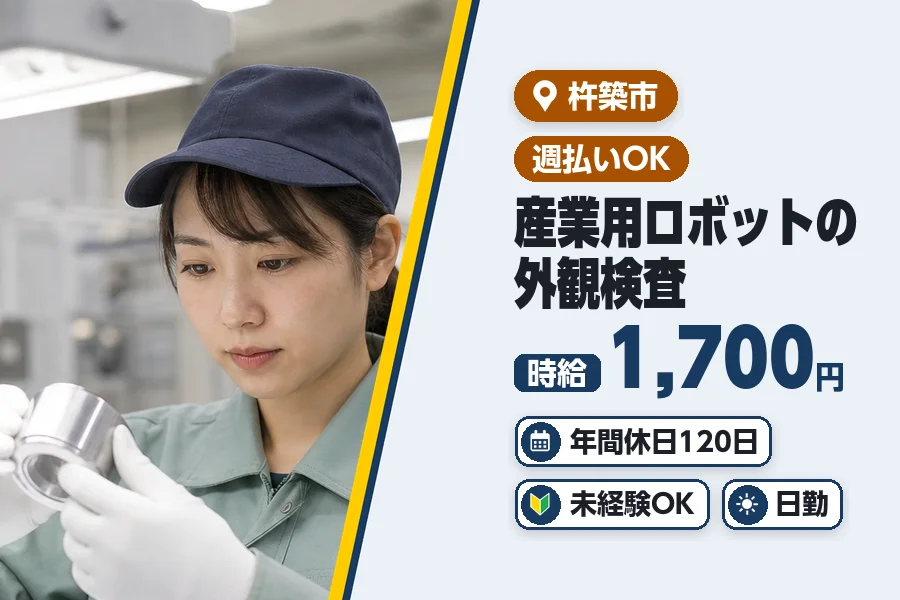 ヒューマンブリッジ株式会社